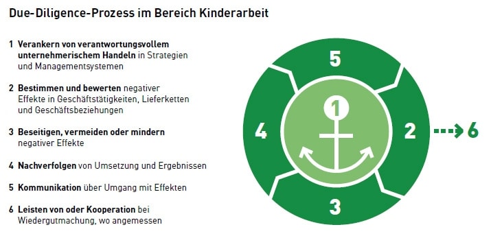 Child labor due diligence process