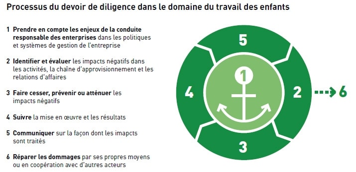 Child labor due diligence process